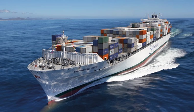 ����Ϳ��